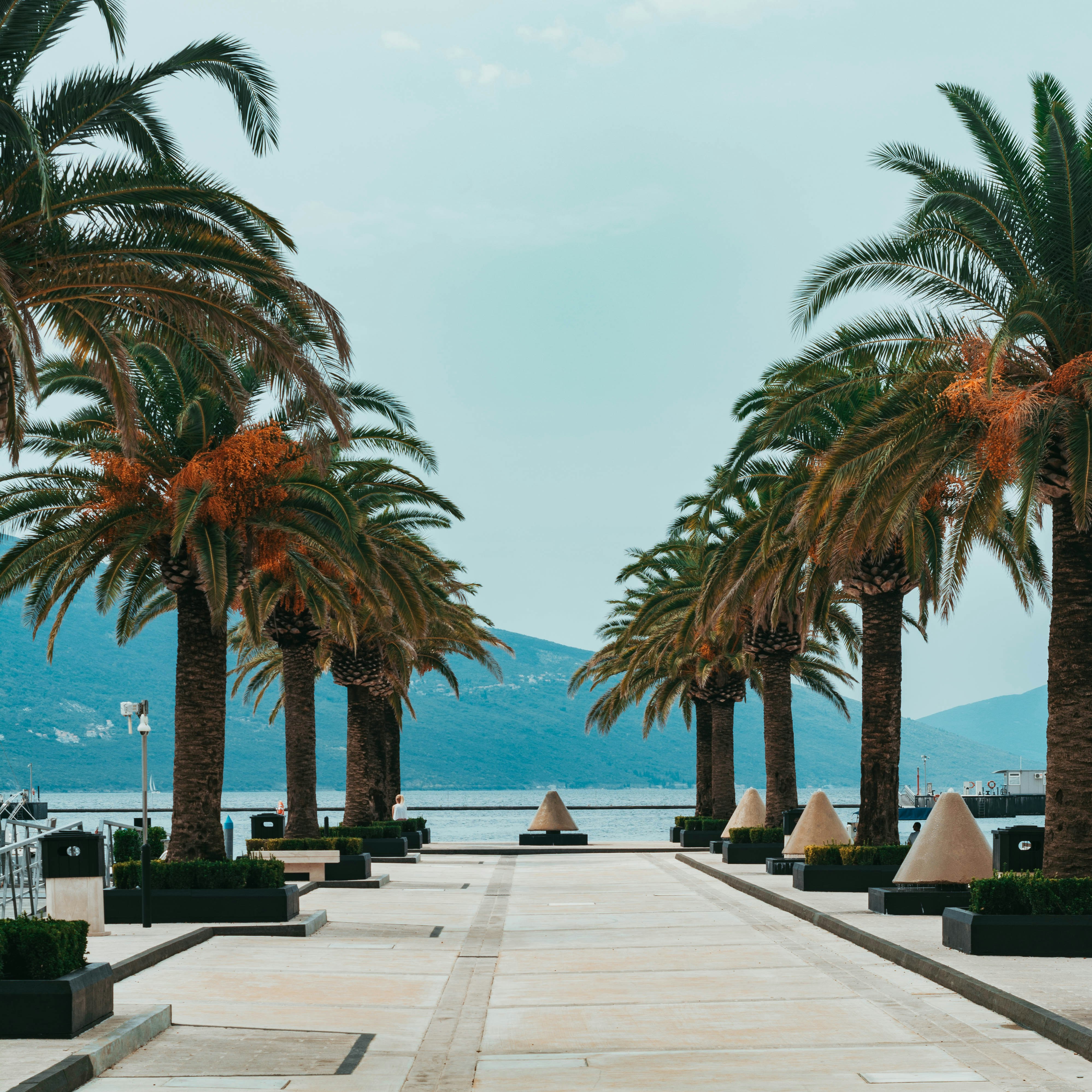 porto montenegro morning