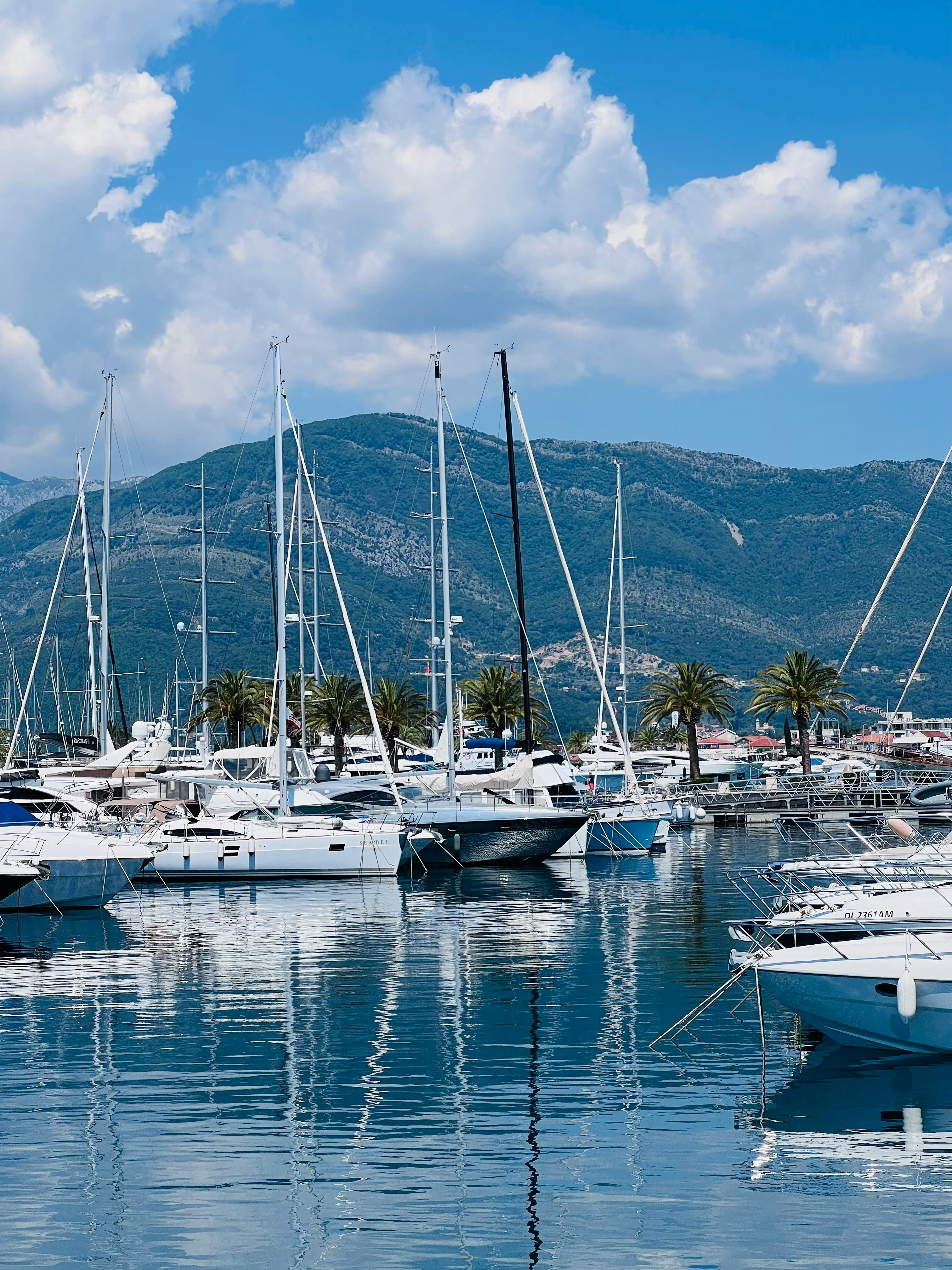 Porto Montenegro marina